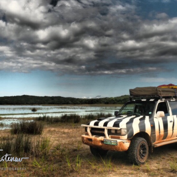A muddy Zimba along tranquil lakes at Maputo Special Reserve