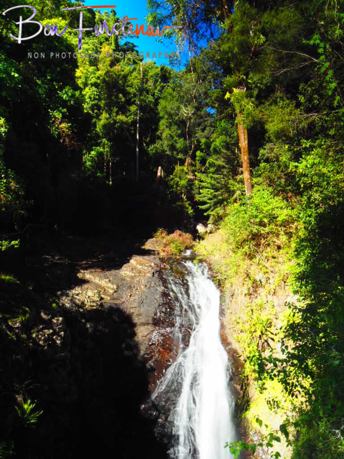 Cave Creek waterfalls at Springbrook National Park, Queensland, Australia 