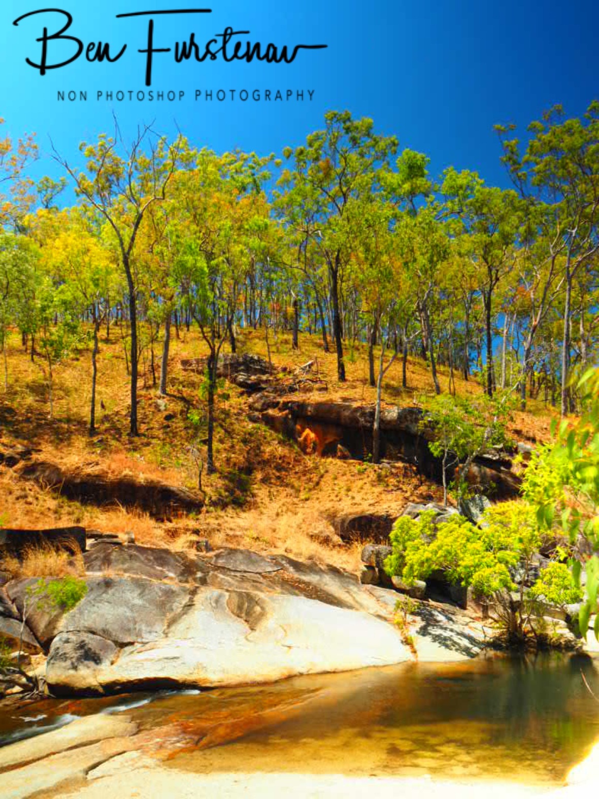 Scenic picnic spot  at Davies Creek Falls, Atherton Tablelands, Far North Queensland, Australia 
